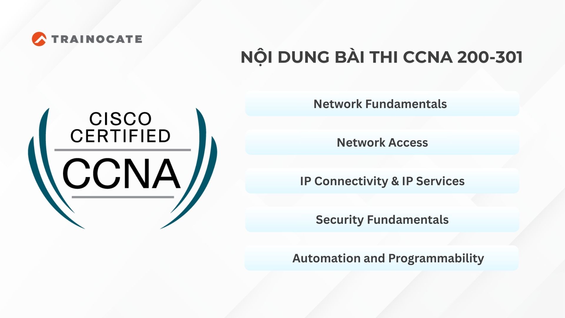 Nội dung bài thi chứng chỉ CCNA