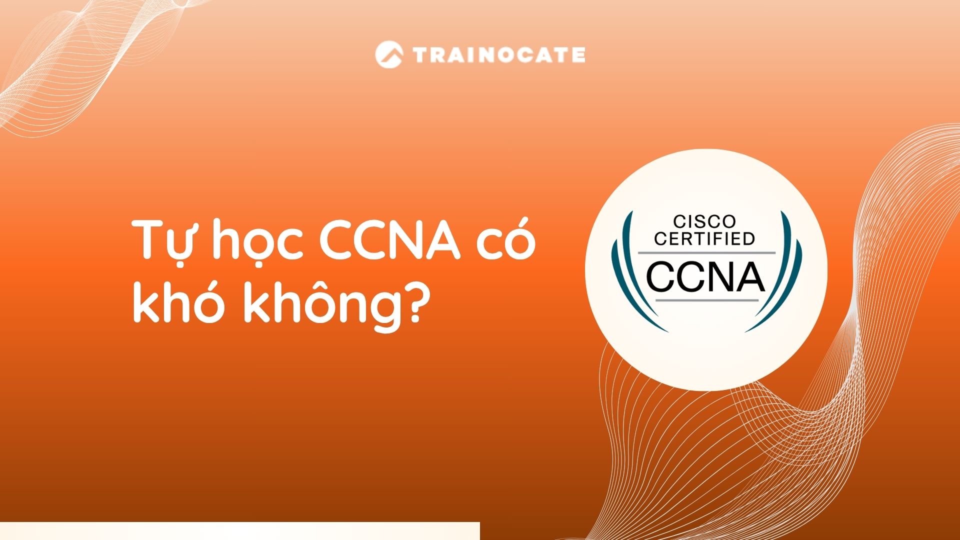 Tự học CCNA có khó không? Có cần đăng ký khóa học CCNA?