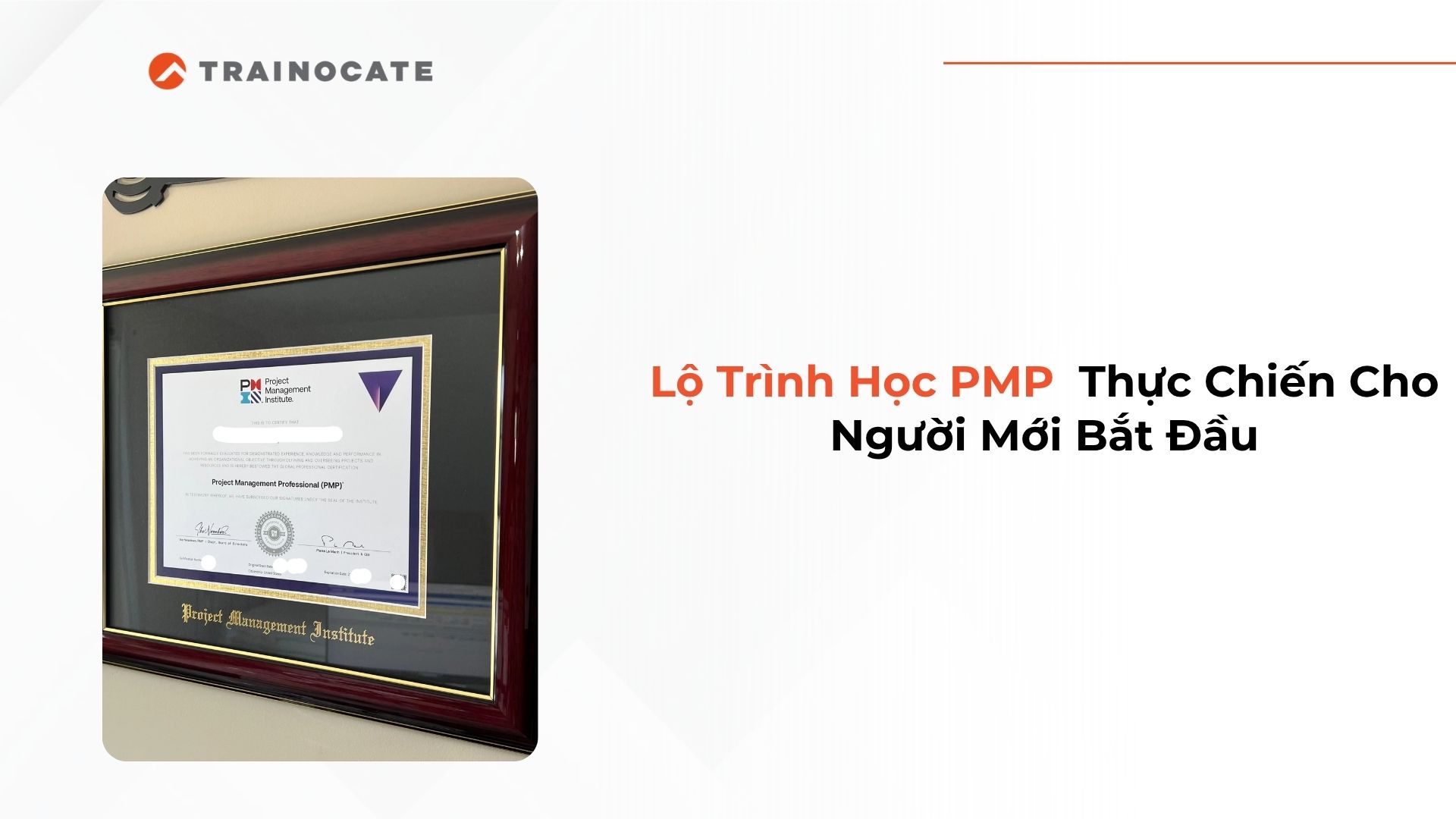 Lộ Trình Học PMP Thực Chiến Cho Người Mới Bắt Đầu